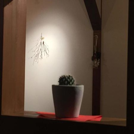 Kinosaki Knot Female Only Dormitory - Vacation Stay 25710V Toyooka  Exterior photo